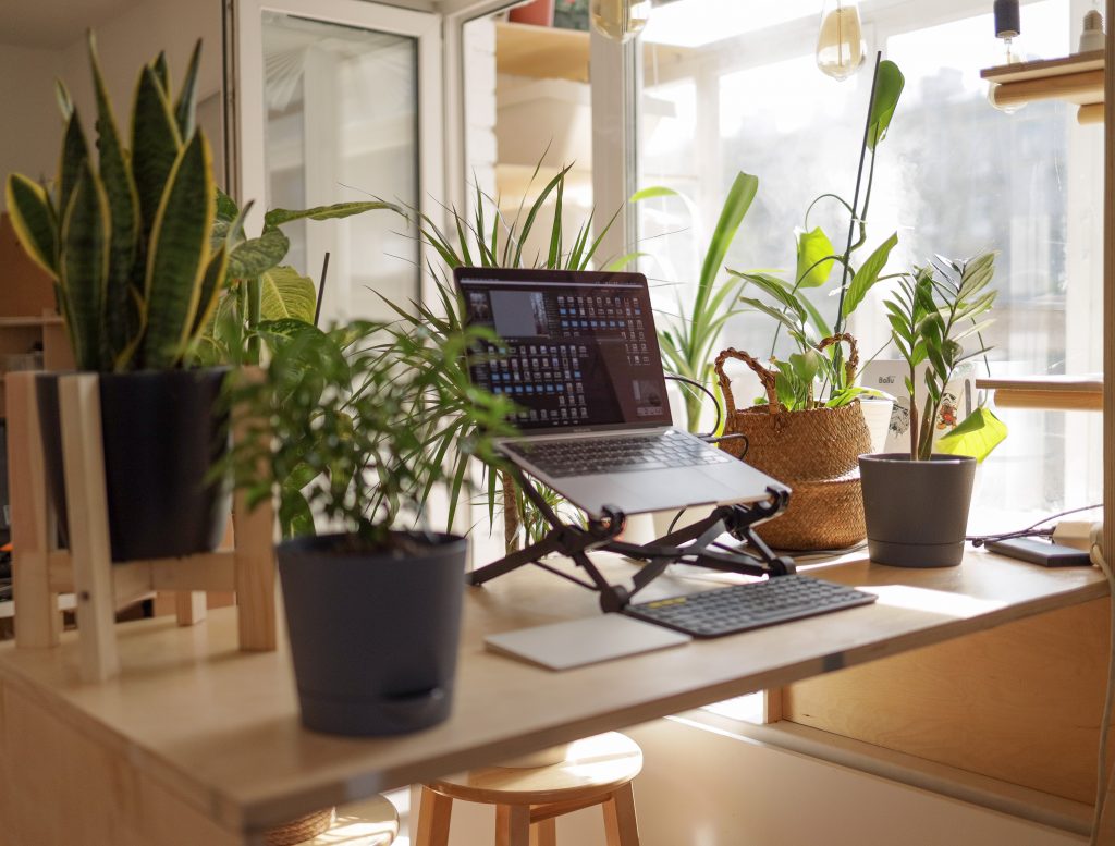 work from home setup with laptop and plants